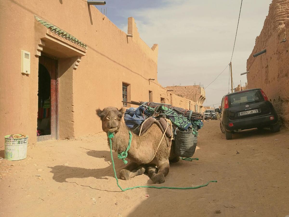 Authentic Riad & Activities Erg M'Hamid Exterior foto